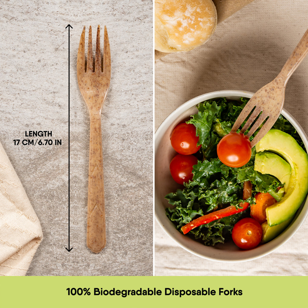 Biodegradable Veggie Forks - The Veggie Straws
