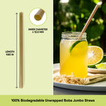 Jumbo Boba Veggie Straws - The Veggie Staws